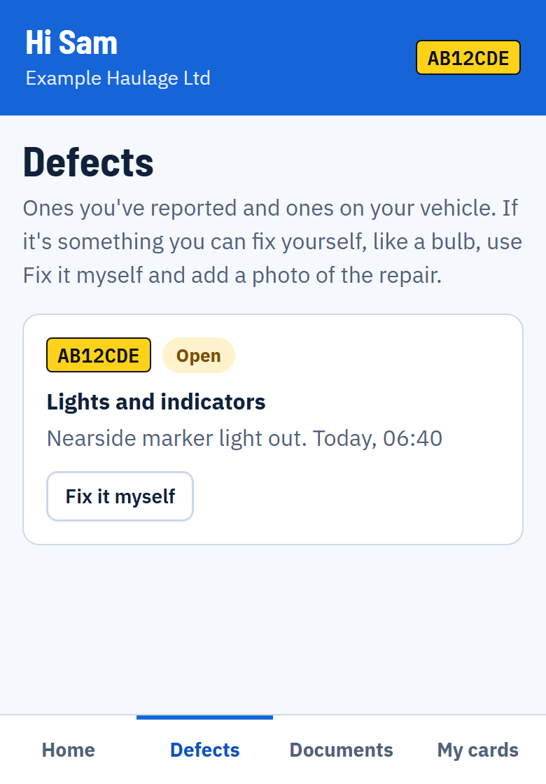 The Defects screen showing one open defect with a Fix it myself button.